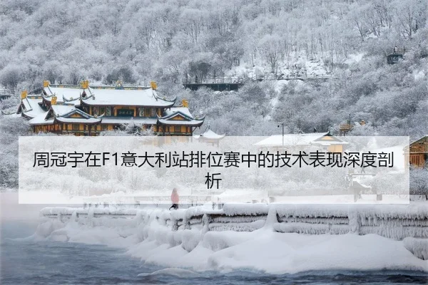 周冠宇在F1意大利站排位赛中的技术表现深度剖析